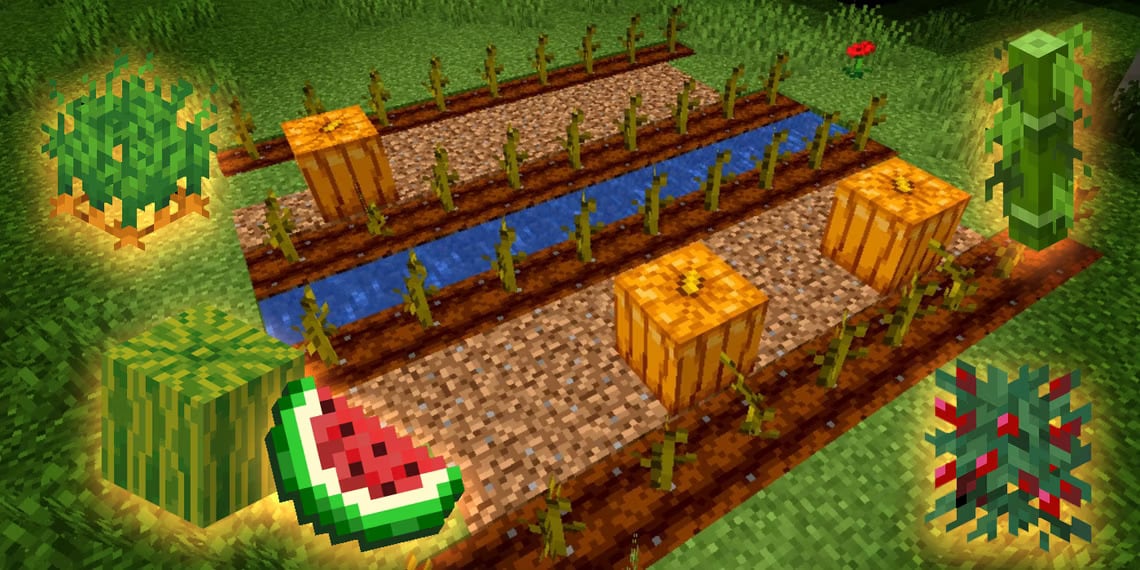 10 Best Growables In Minecraft Game Guides, Game Guides