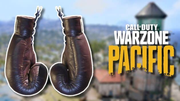 Warzone player goes viral after “wholesome” boxing match in final circle